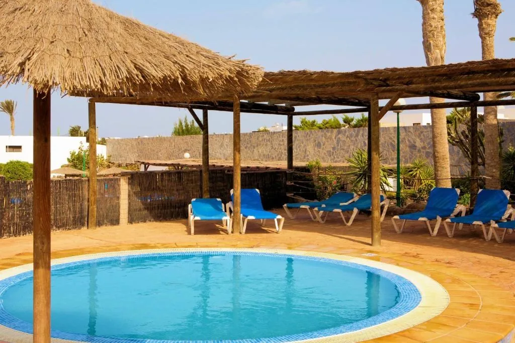 Pool with pergola and palm trees